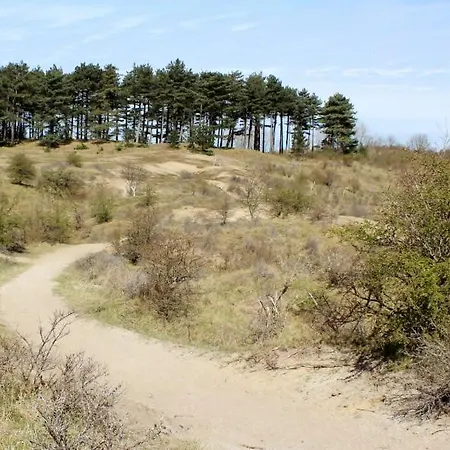 Apartment Oasis Studio- Free Parking *