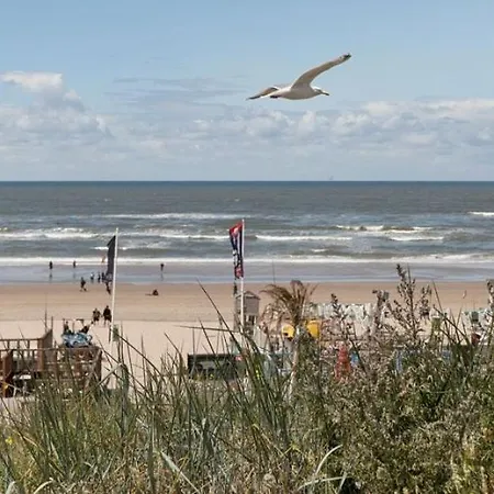 Apartman Oasis Studio- Free Parking Zandvoort