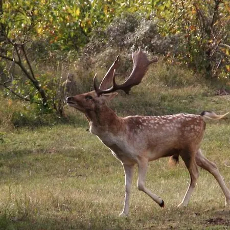 Apartment Oasis Studio- Free Parking