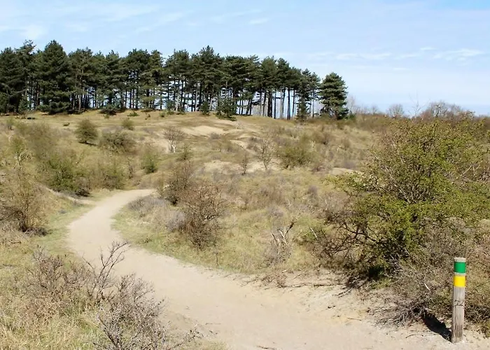 Appartement Oasis Studio- Free Parking *