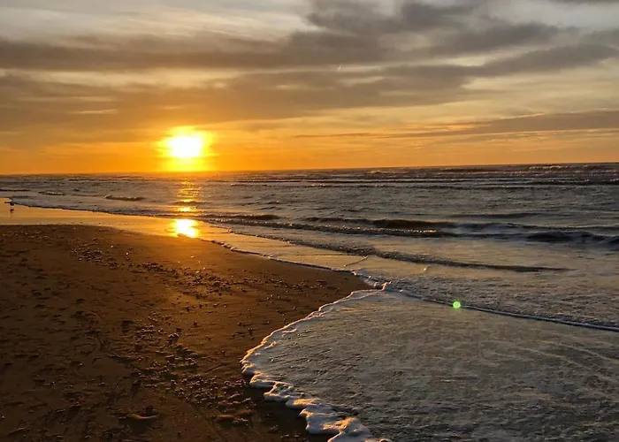 Oasis Studio- Free Parking Appartement